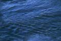 water_262
