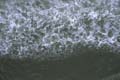 water_31