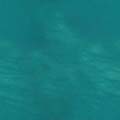 water_36