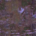 water_43