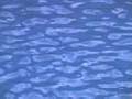 water_51