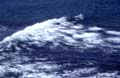 water_80