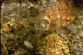water_92
