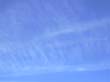 sky_201