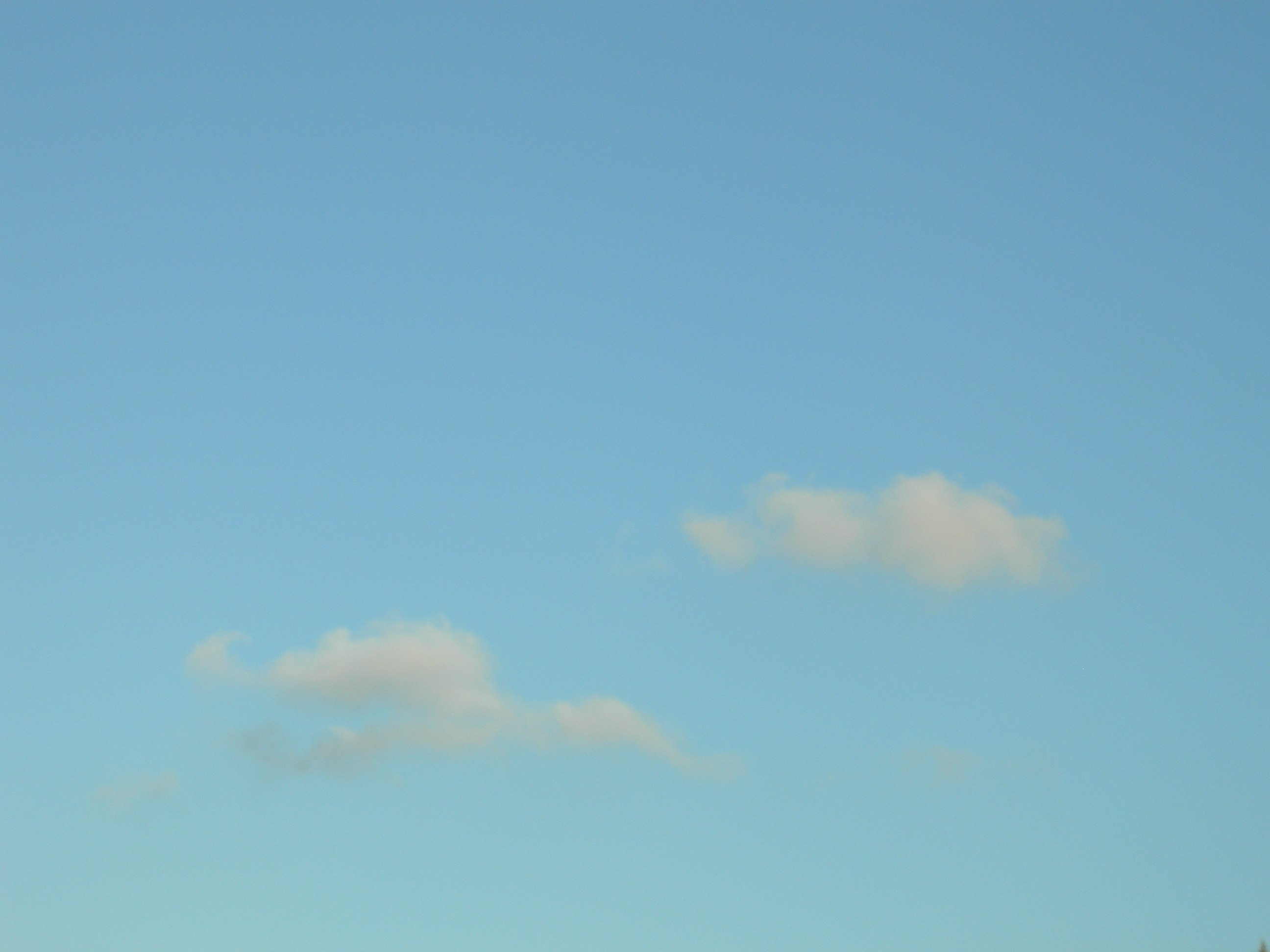 cielo_36